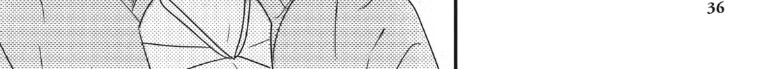 How I Met My Soulmate Chapter 9 page 64 - 