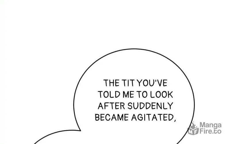 Read How the Empress Breaks the Rules chapter 80 image 43 on Lezhin