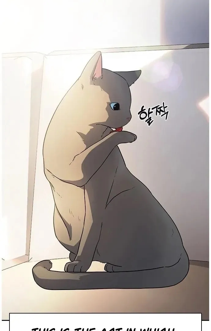 Read How to Break Up Well chapter 1 image 2 on Lezhin