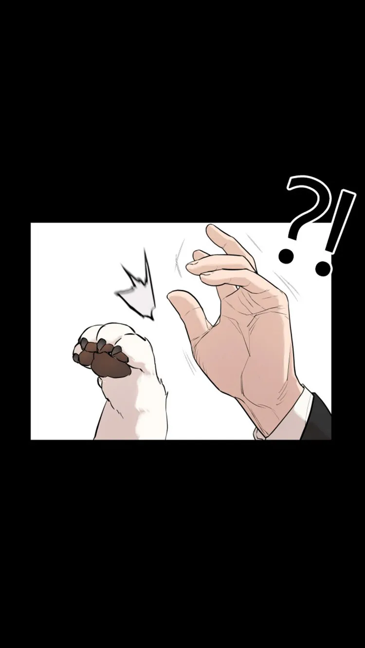 Read How to Fight chapter 13 image 17 on Lezhin