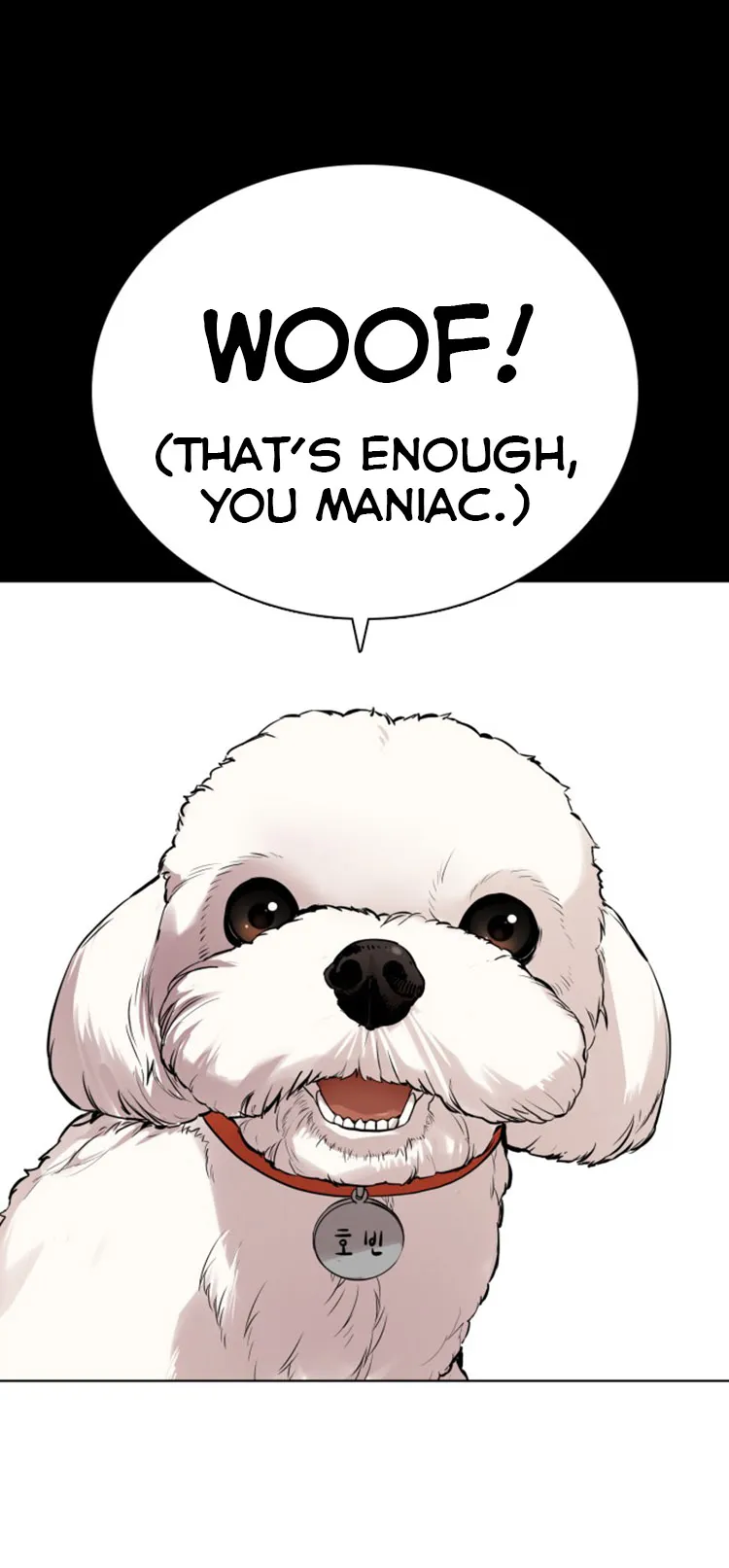 Read How to Fight chapter 13 image 18 on Lezhin