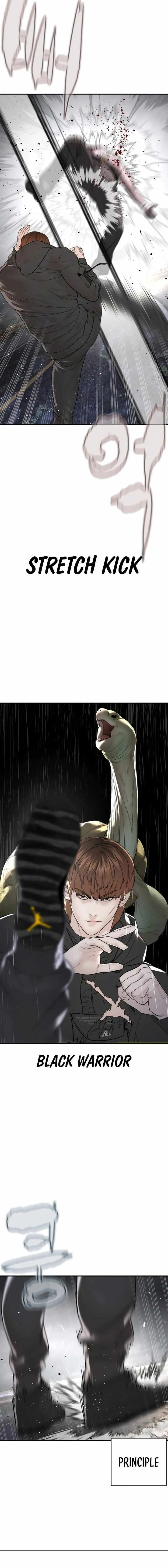Read How to Fight chapter 210 image 17 on Lezhin