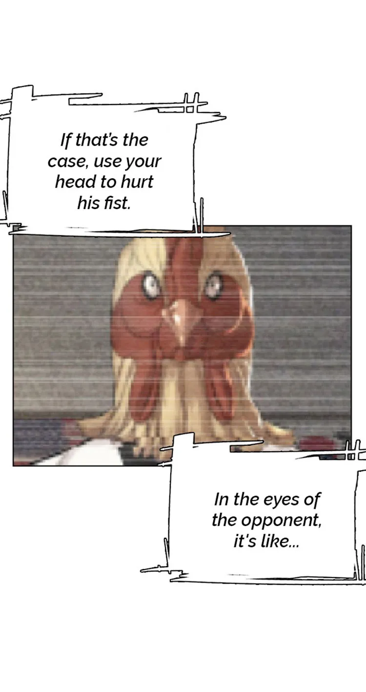 Read How to Fight chapter 5 image 75 on Lezhin