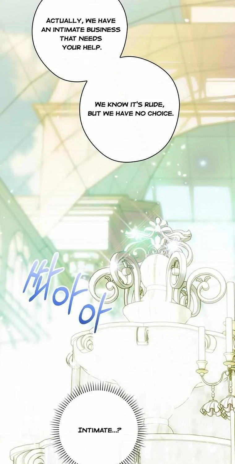 How to Get My Husband on My Side Chapter 62.5 page 29 - 