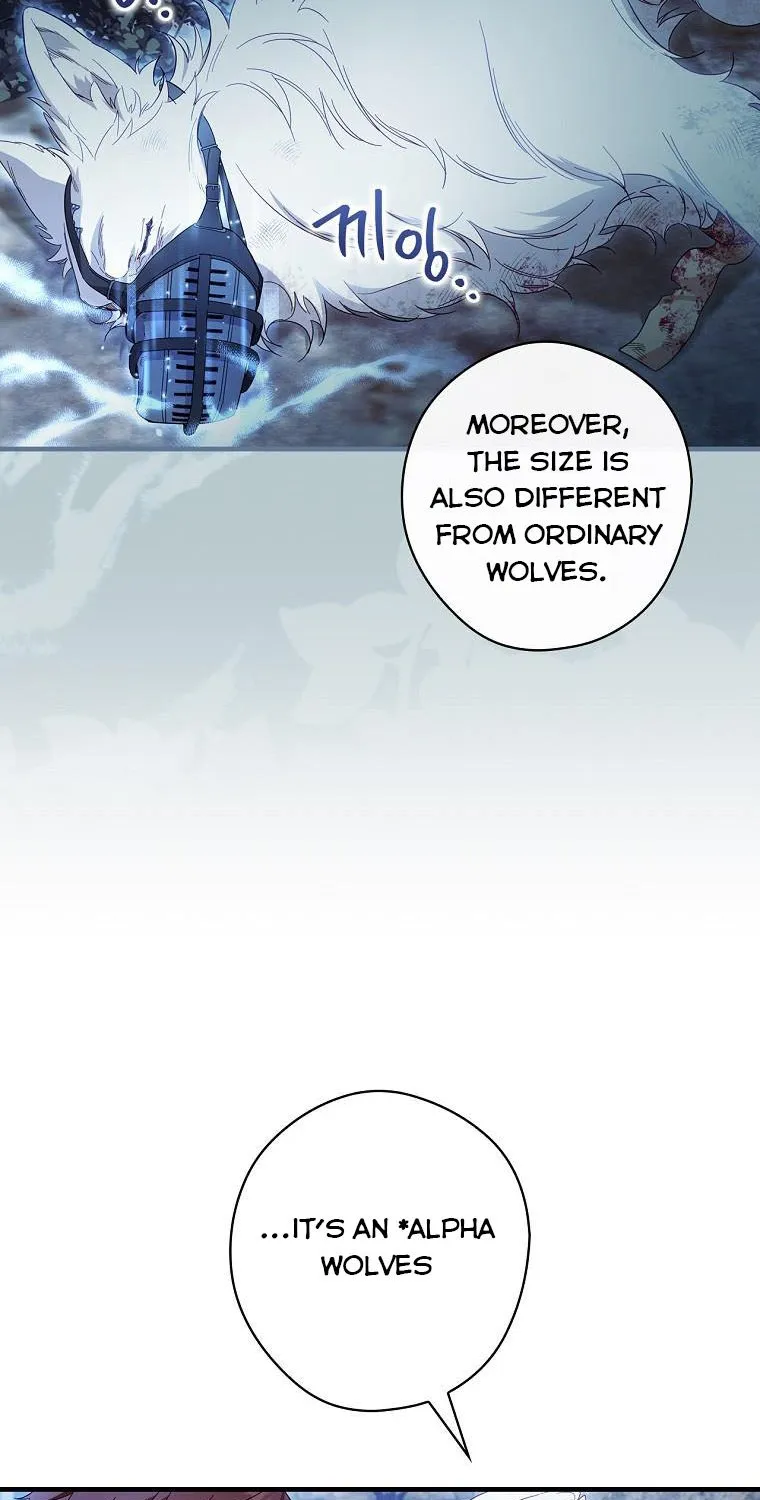 How to Get My Husband on My Side Chapter 64 page 80 - 