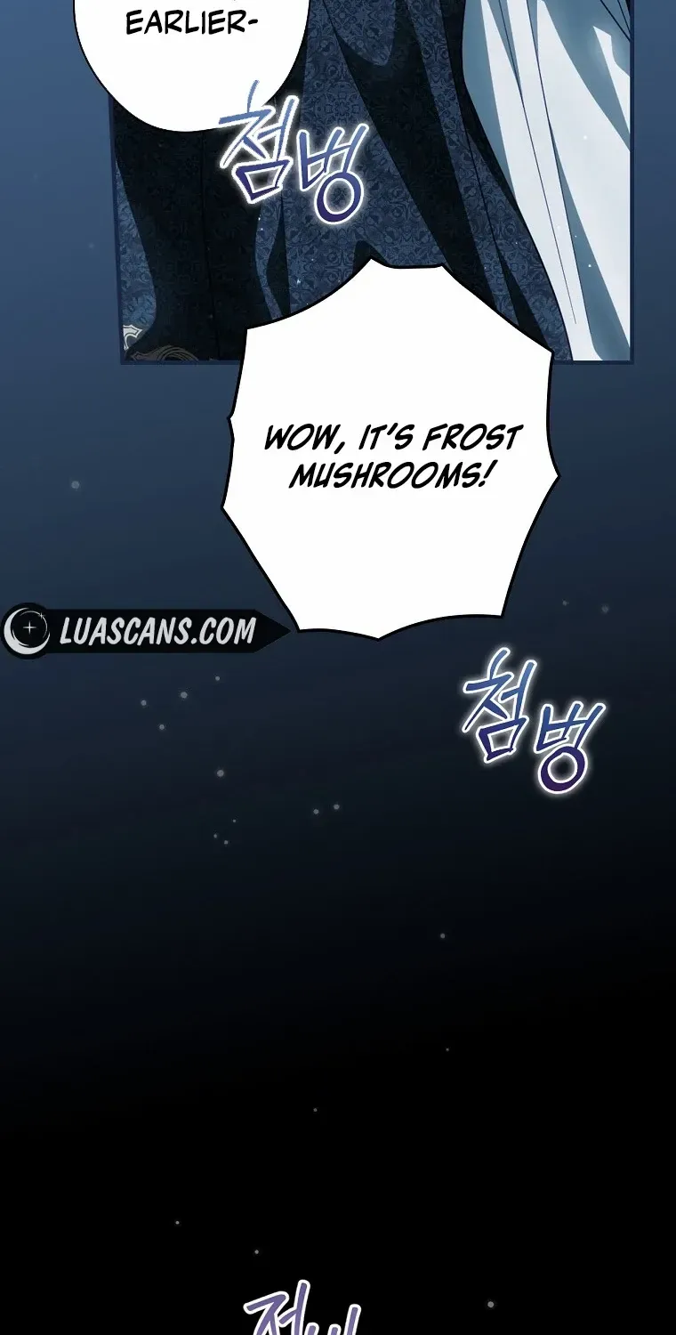 How to Get My Husband on My Side Chapter 97 page 9 - 
