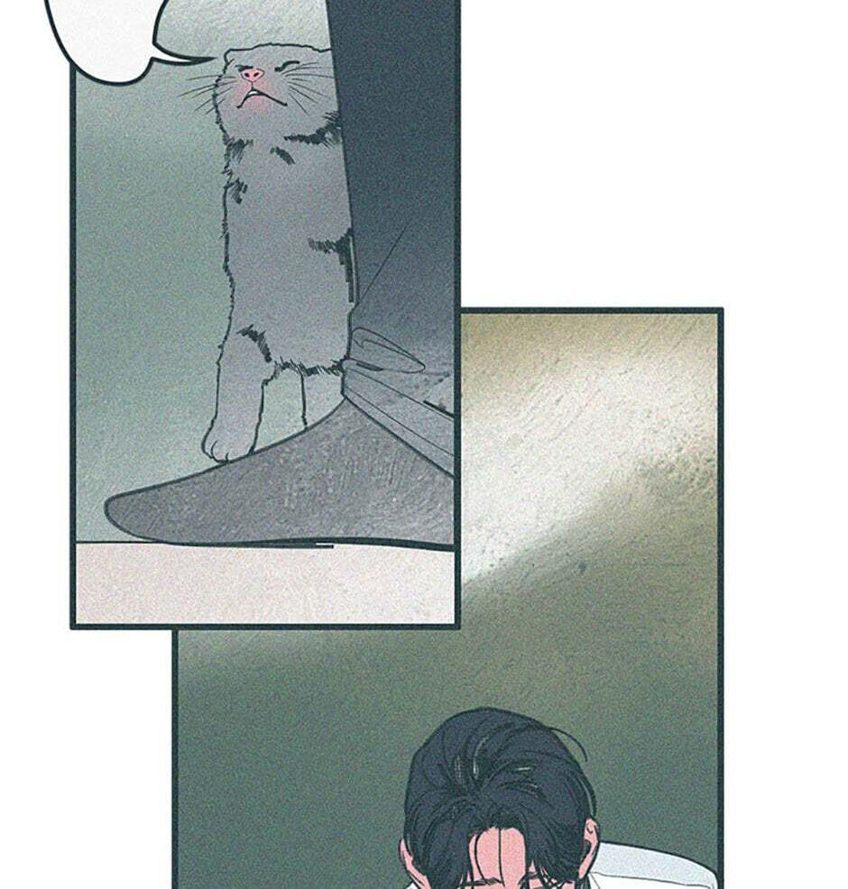 Read How to Hate Mate chapter 69 image 35 on Lezhin