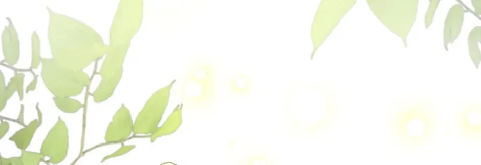 Read How to Hide the Emperor’s Child chapter 100 image 3 on Lezhin