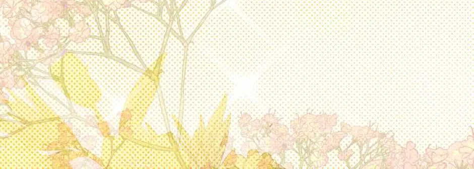 Read How to Hide the Emperor’s Child chapter 120 image 69 on Lezhin
