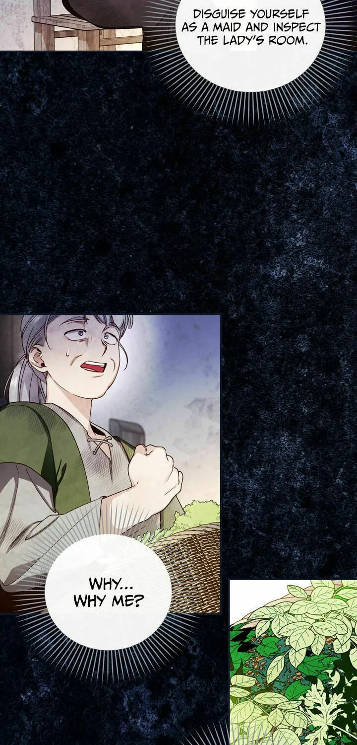 Read How to Hide the Emperor’s Child chapter 19 image 37 on Lezhin