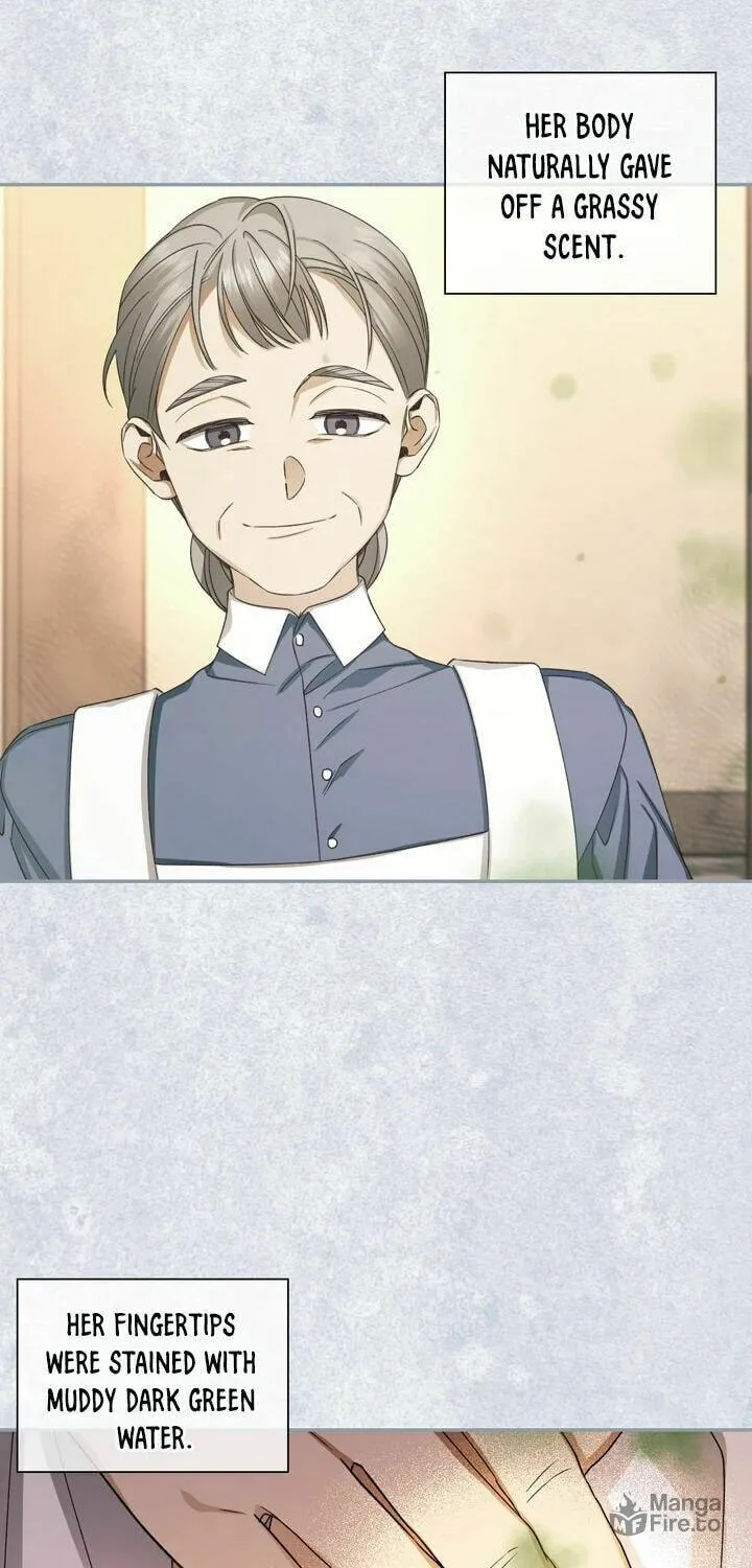 Read How to Hide the Emperor’s Child chapter 19 image 47 on Lezhin