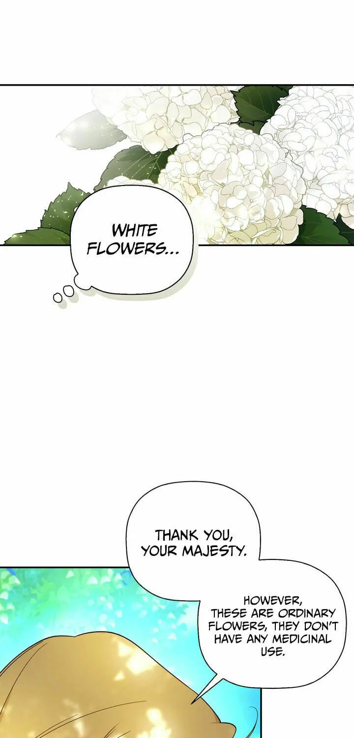 Read How to Hide the Emperor’s Child chapter 22 image 8 on Lezhin
