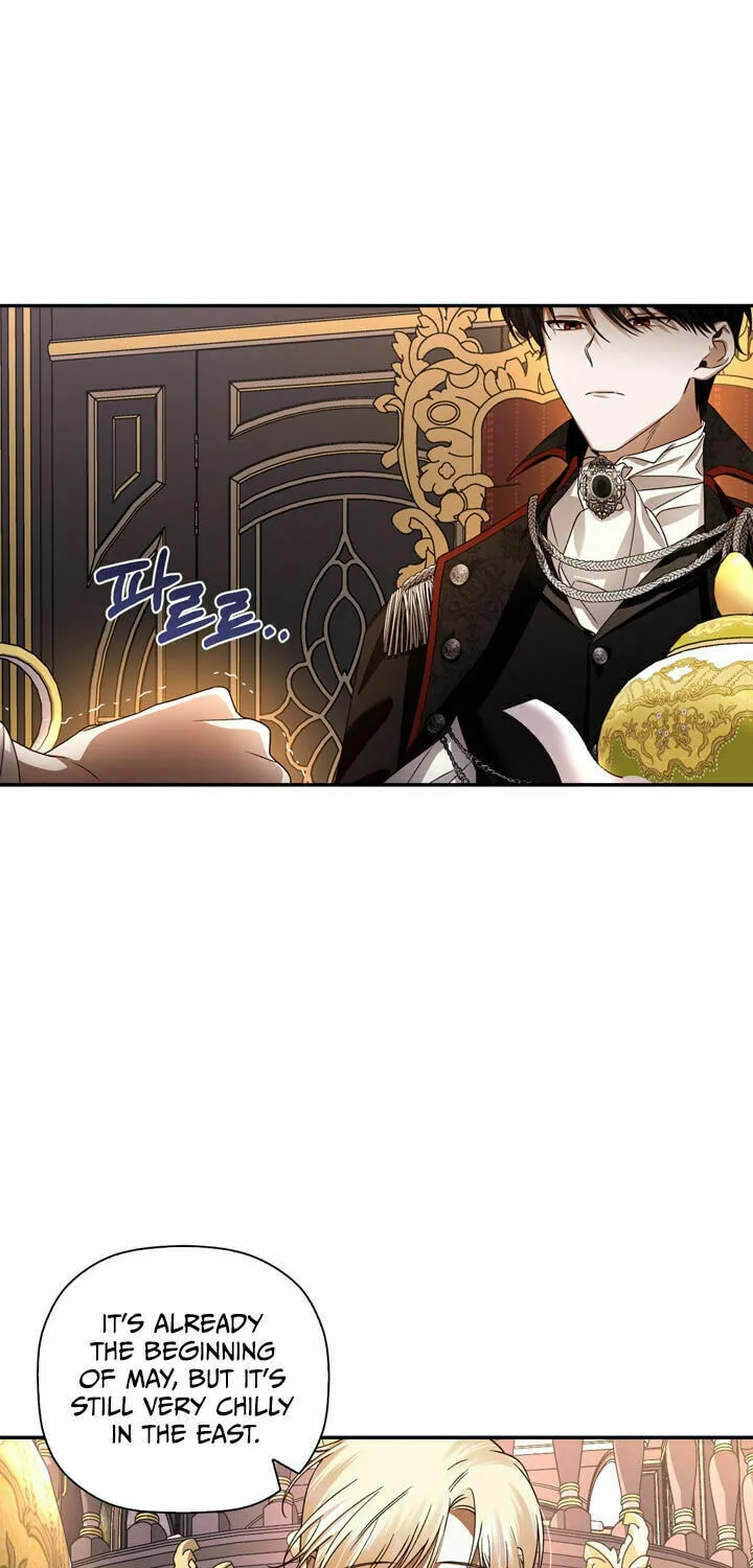 Read How to Hide the Emperor’s Child chapter 3 image 34 on Lezhin