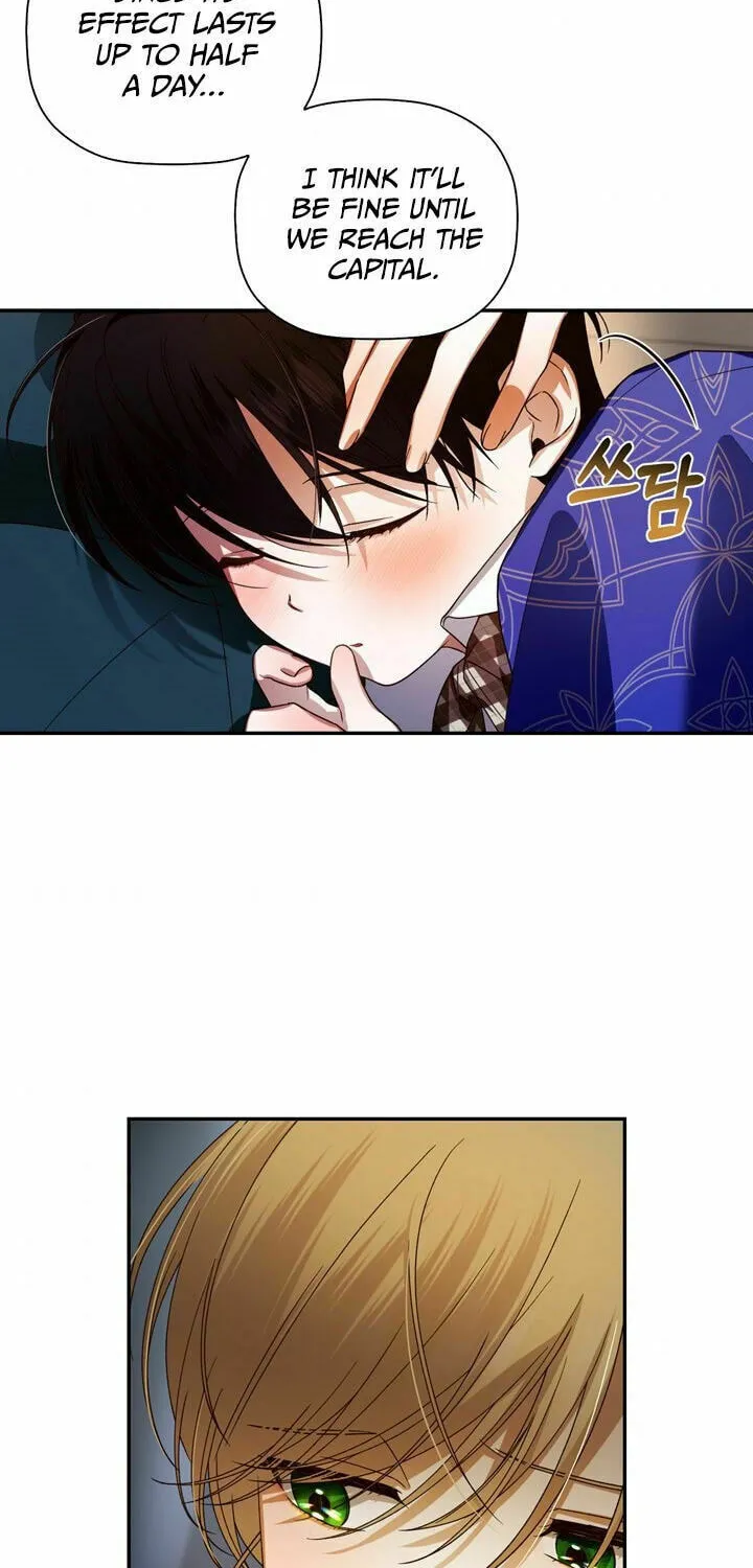 Read How to Hide the Emperor’s Child chapter 4 image 33 on Lezhin