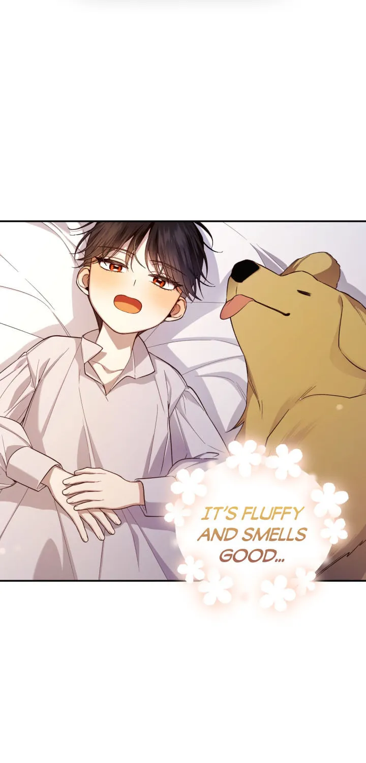 Read How to Hide the Emperor’s Child chapter 72 image 42 on Lezhin