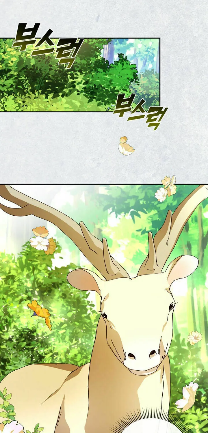 Read How to Hide the Emperor’s Child chapter 8 image 36 on Lezhin