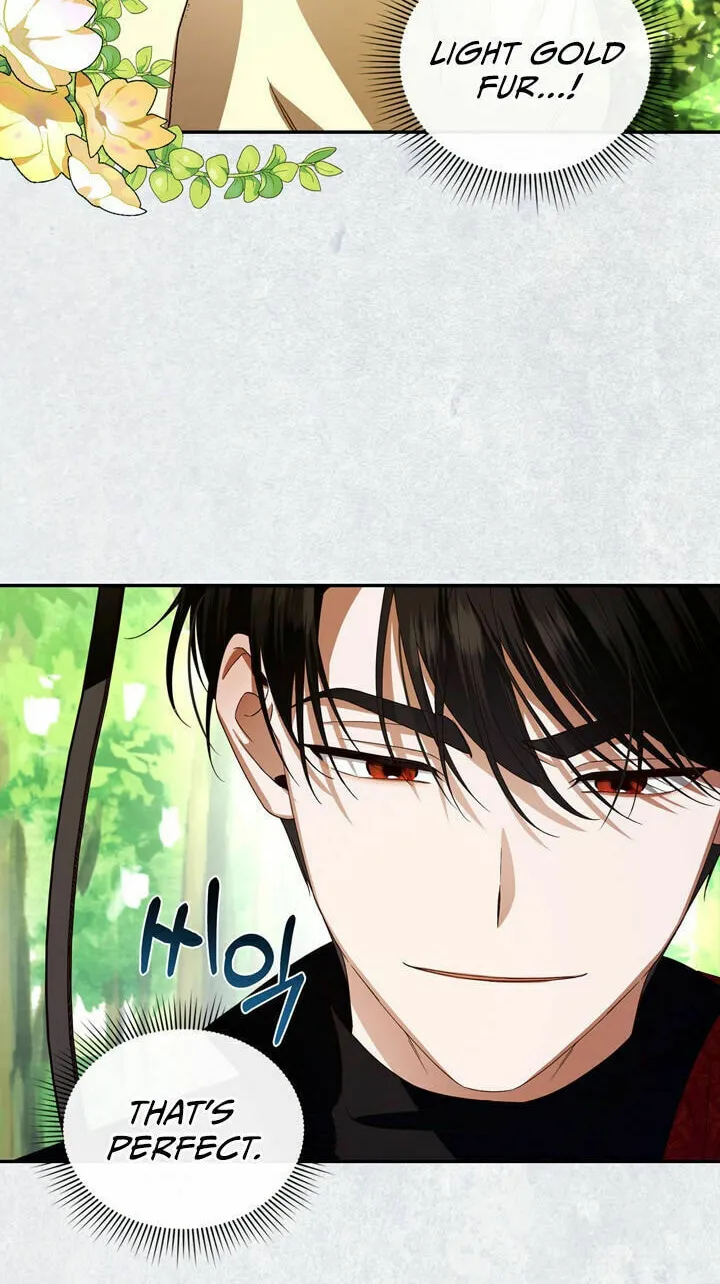 Read How to Hide the Emperor’s Child chapter 8 image 37 on Lezhin