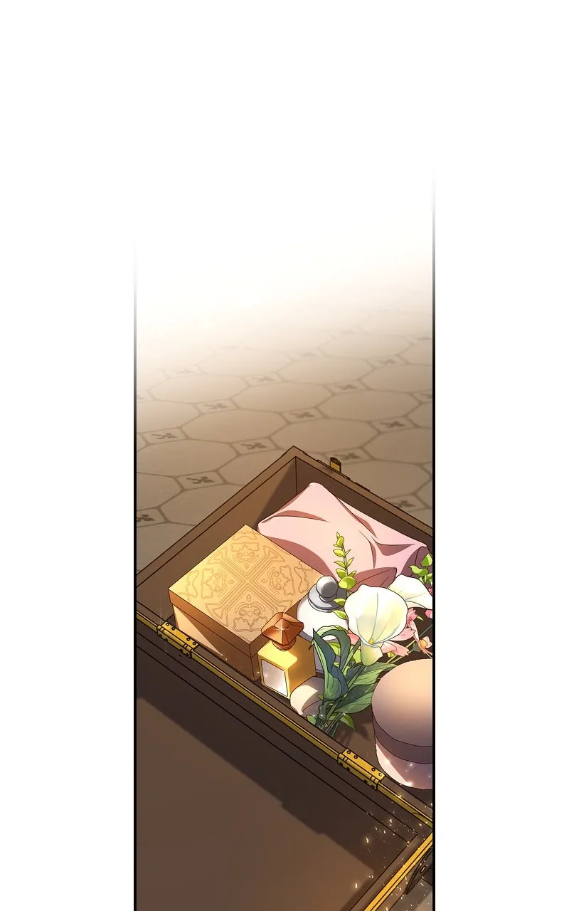 How to Hide the Emperor's Child Chapter 1 page 28 - 