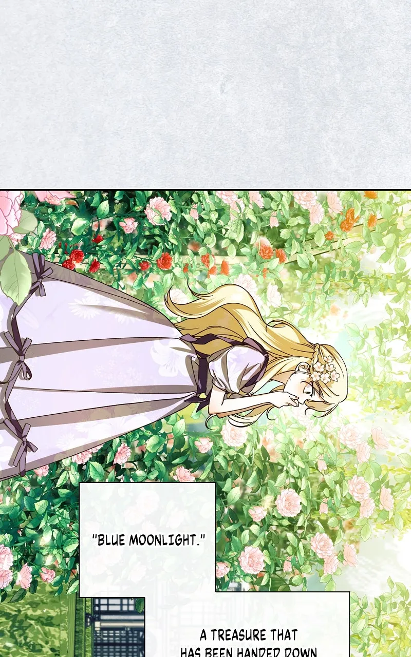 How to Hide the Emperor's Child Chapter 1 page 33 - 