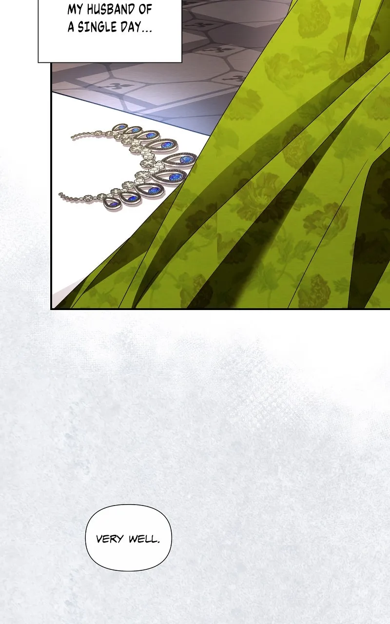 How to Hide the Emperor's Child Chapter 1 page 47 - 