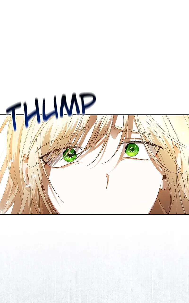 How to Hide the Emperor's Child Chapter 2 page 13 - 