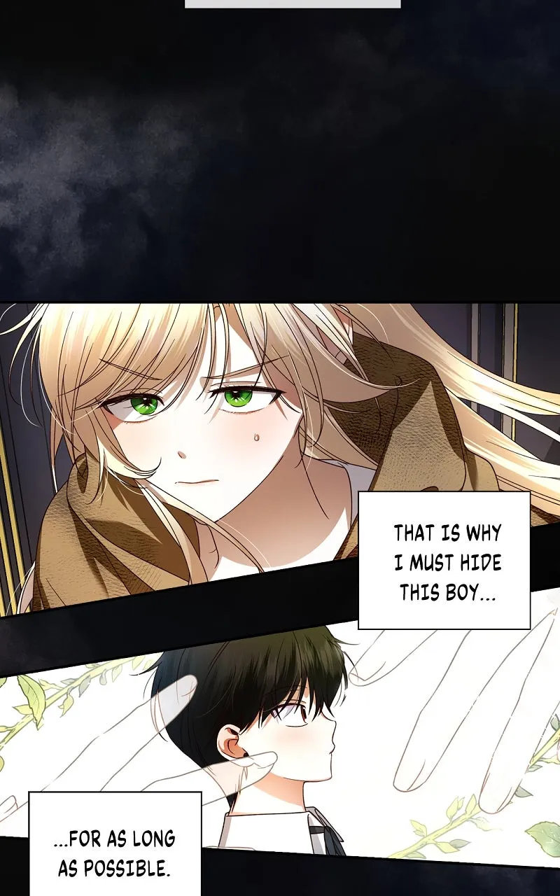How to Hide the Emperor's Child Chapter 2 page 42 - 