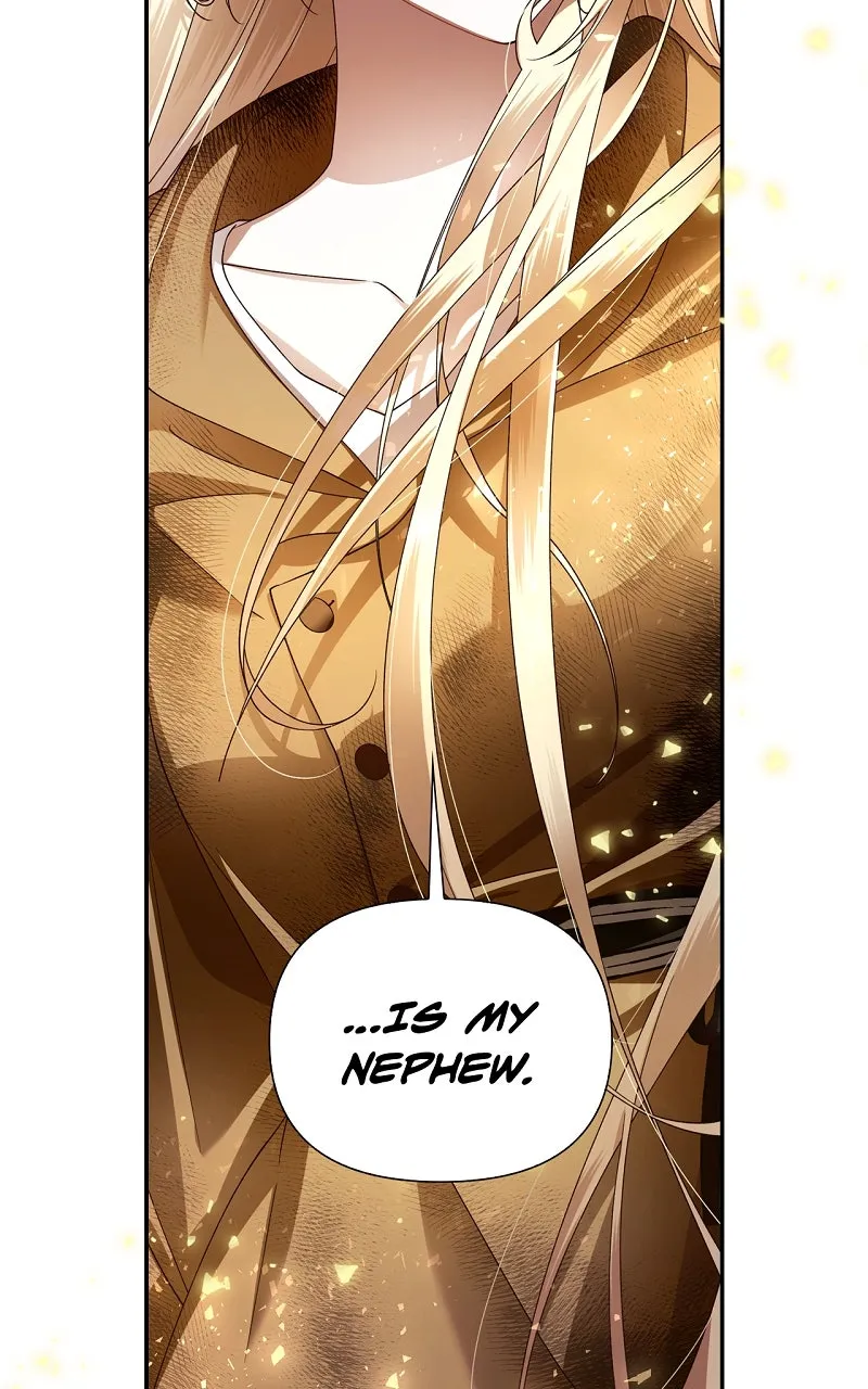 How to Hide the Emperor's Child Chapter 2 page 45 - 