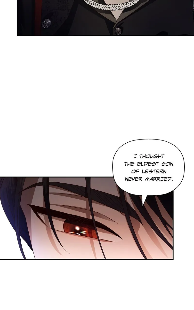 How to Hide the Emperor's Child Chapter 2 page 47 - 