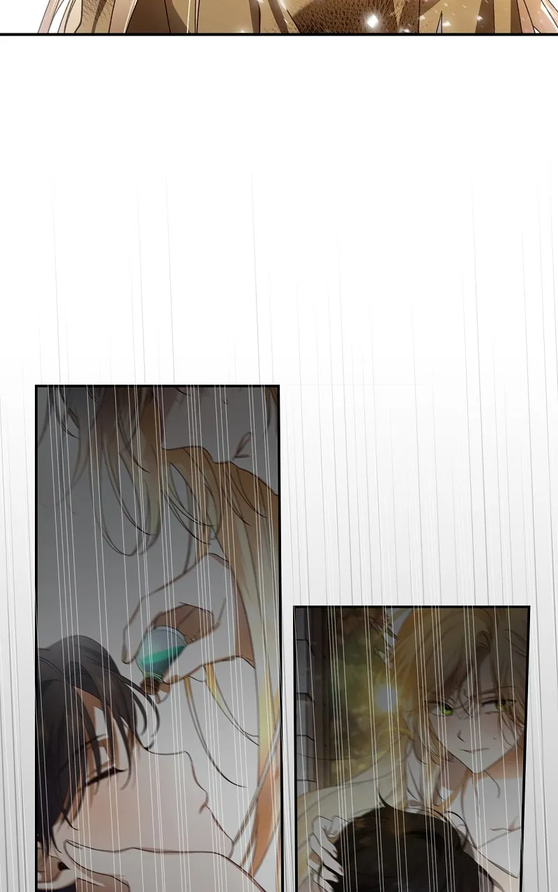 How to Hide the Emperor's Child Chapter 2 page 57 - 