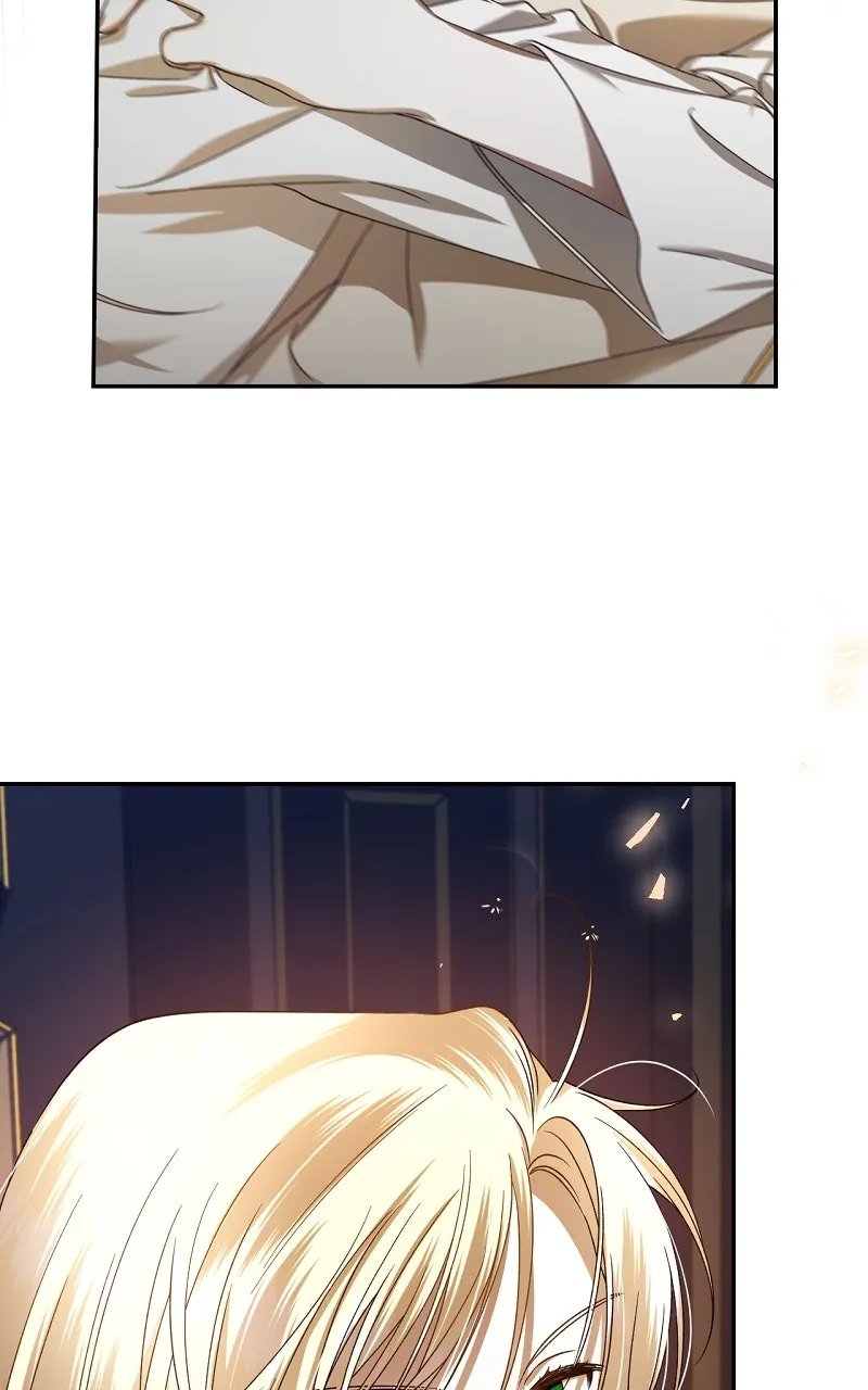 How to Hide the Emperor's Child Chapter 2 page 59 - 