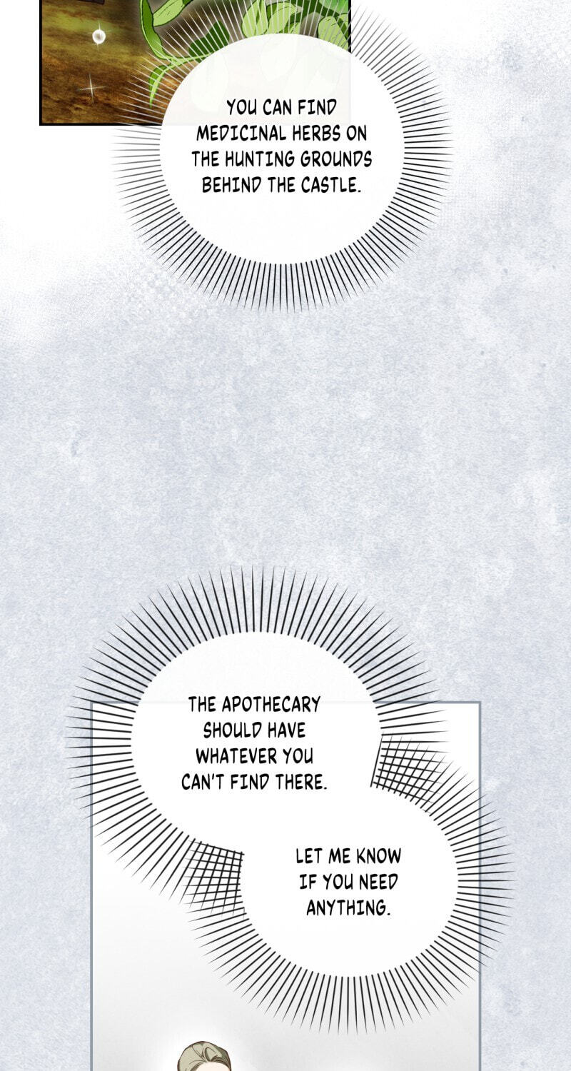 How to Hide the Emperor's Child Chapter 21 page 35 - 