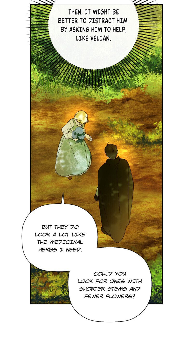 How to Hide the Emperor's Child Chapter 22 page 13 - 