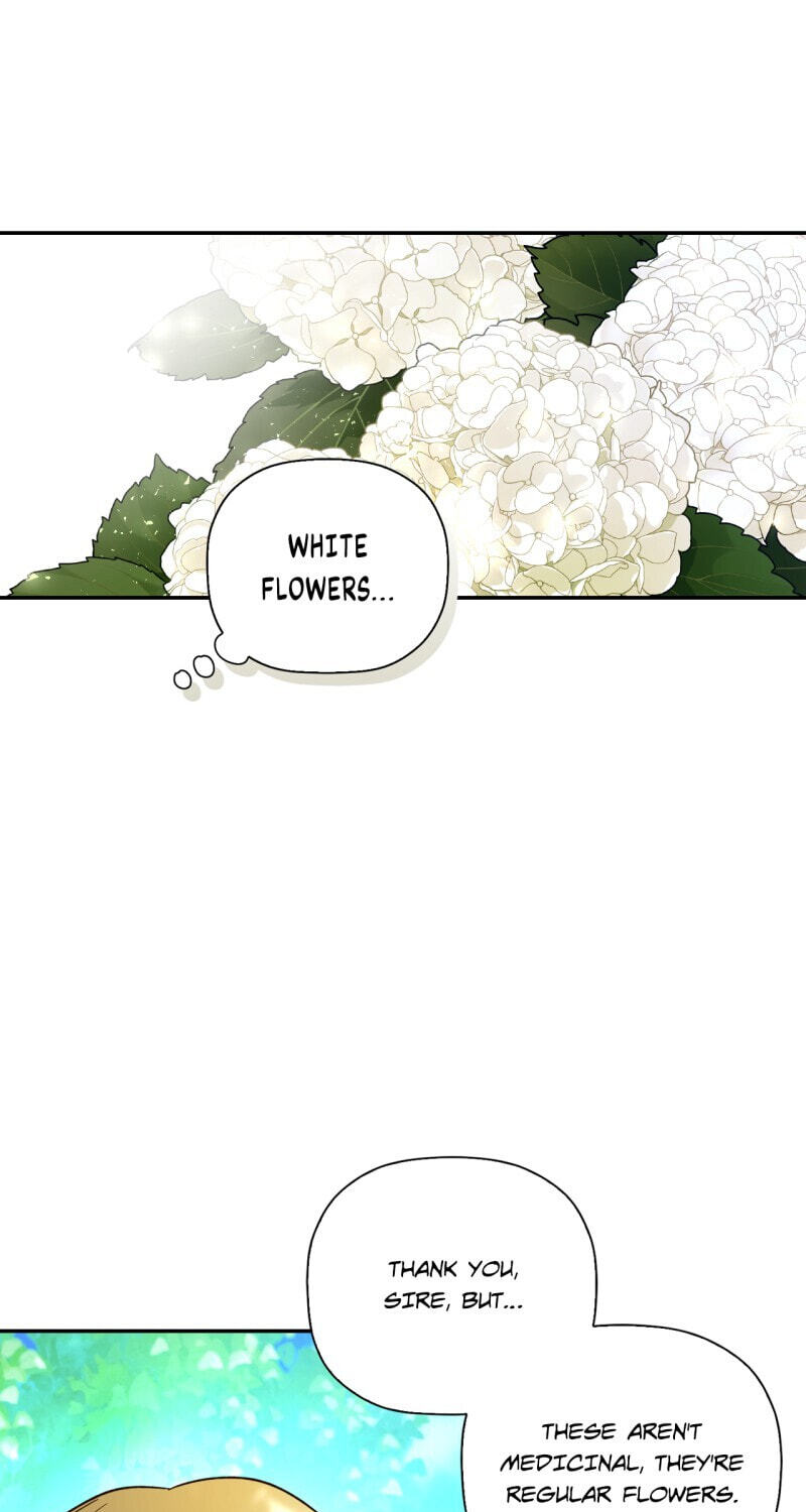 How to Hide the Emperor's Child Chapter 22 page 9 - 
