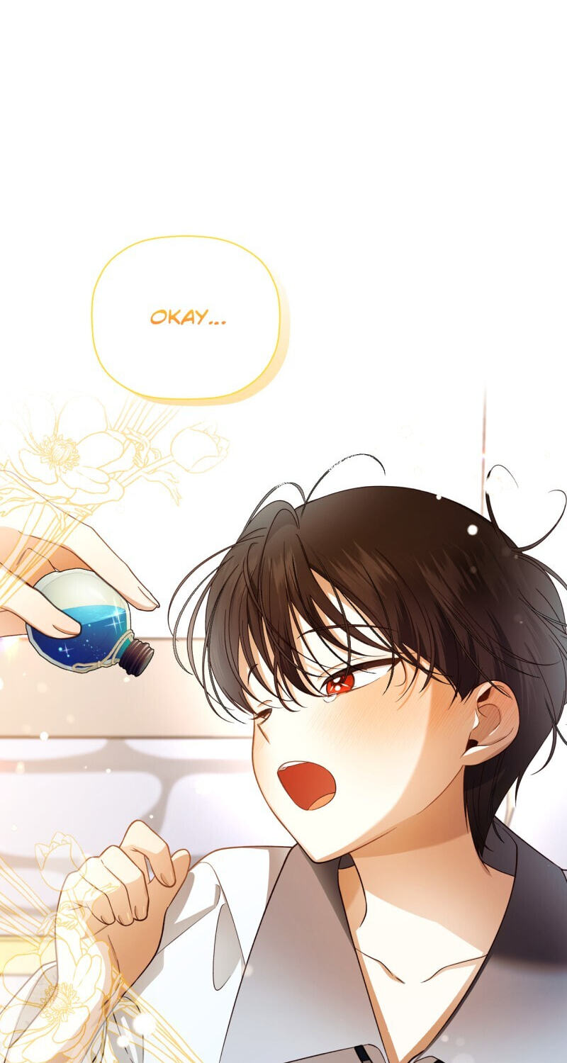 How to Hide the Emperor's Child Chapter 24 page 14 - 