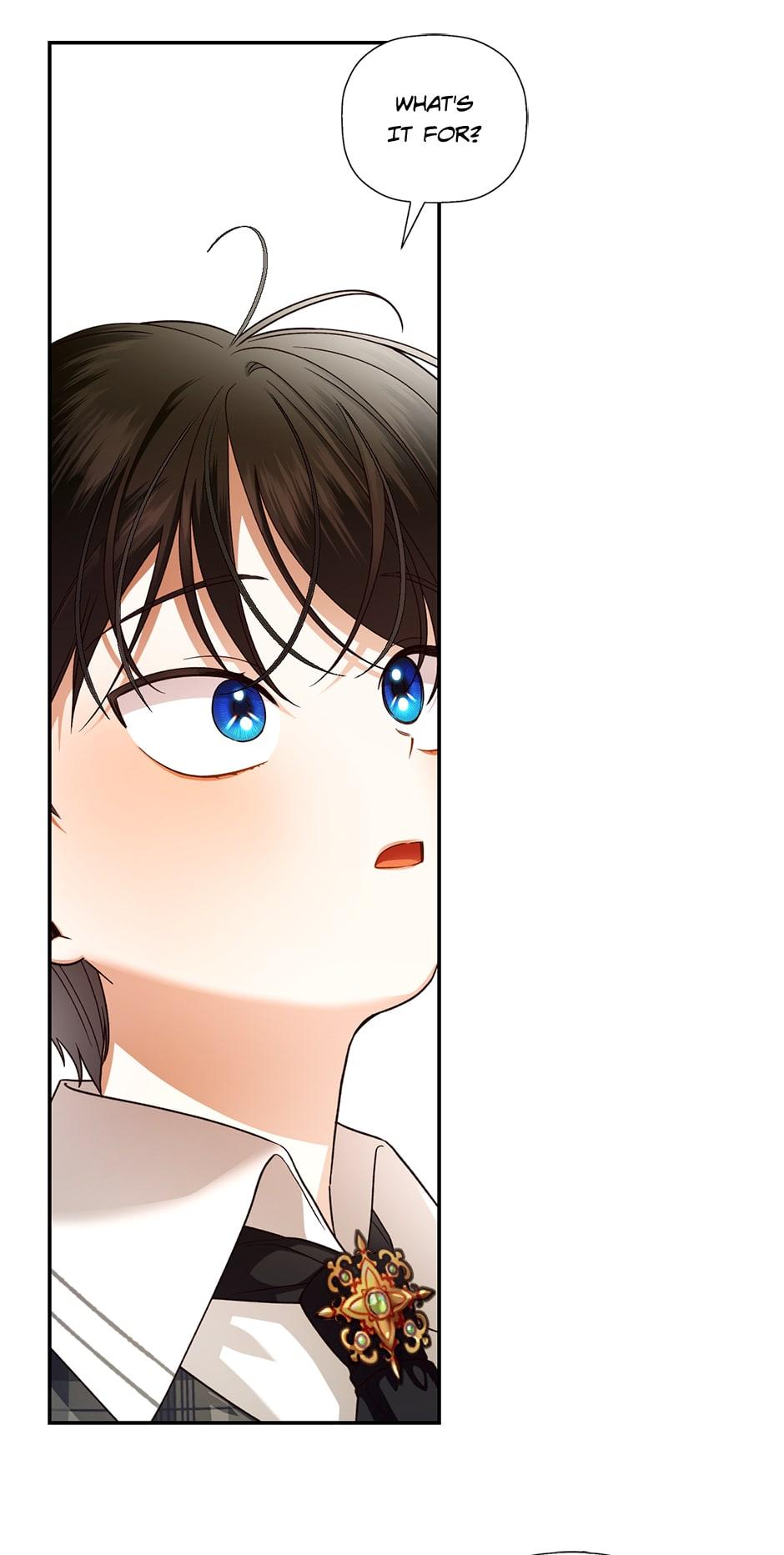 How to Hide the Emperor's Child Chapter 27 page 46 - 