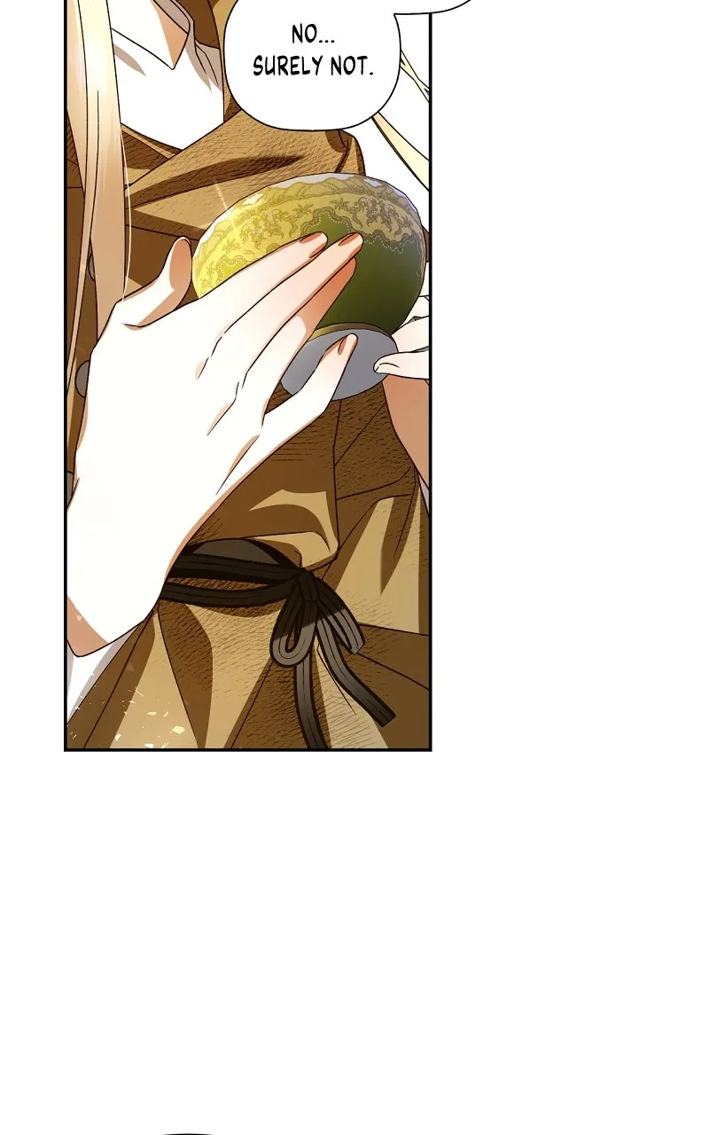 How to Hide the Emperor's Child Chapter 3 page 46 - 