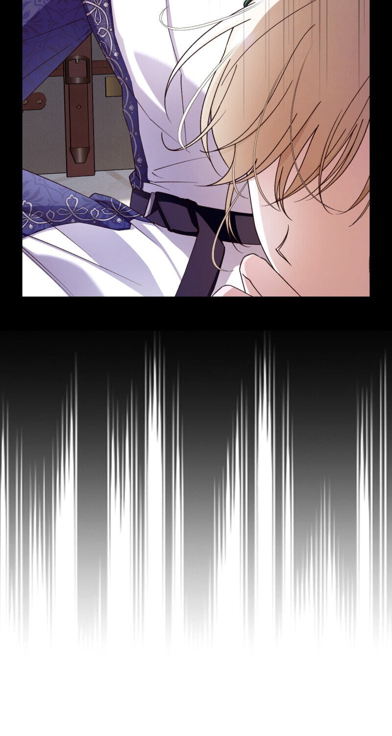 How to Hide the Emperor's Child Chapter 38 page 13 - 