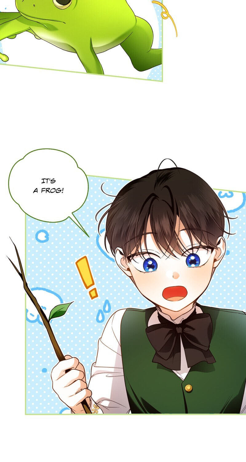 How to Hide the Emperor's Child Chapter 38 page 5 - 
