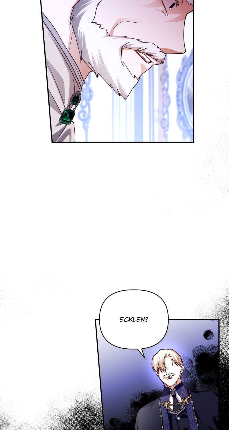 How to Hide the Emperor's Child Chapter 47 page 3 - 