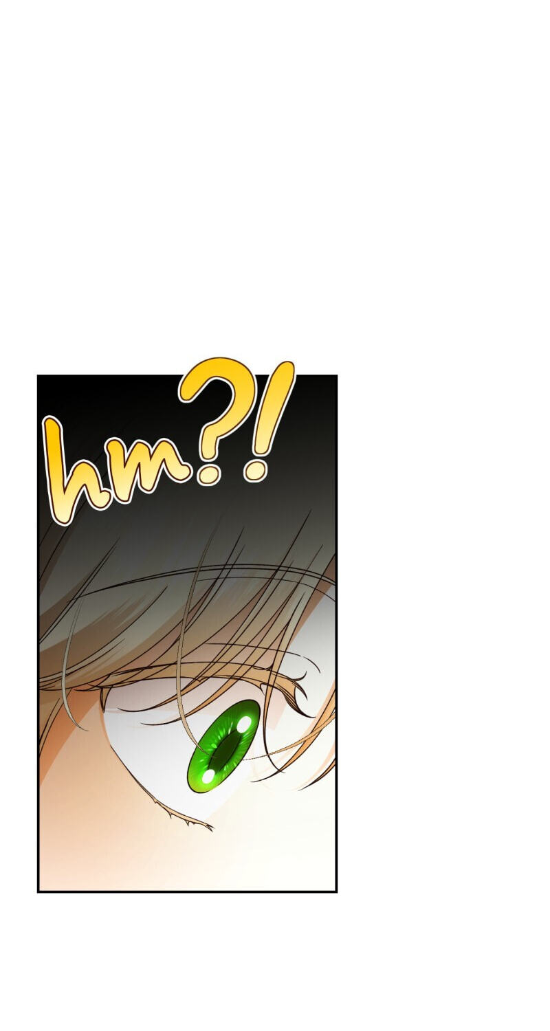 How to Hide the Emperor's Child Chapter 47 page 46 - 