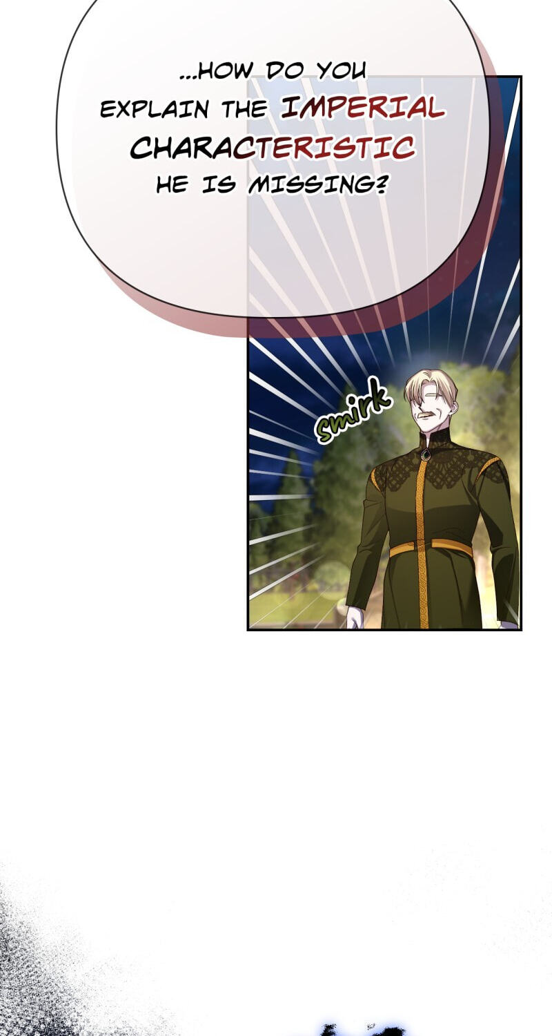 How to Hide the Emperor's Child Chapter 58 page 20 - 