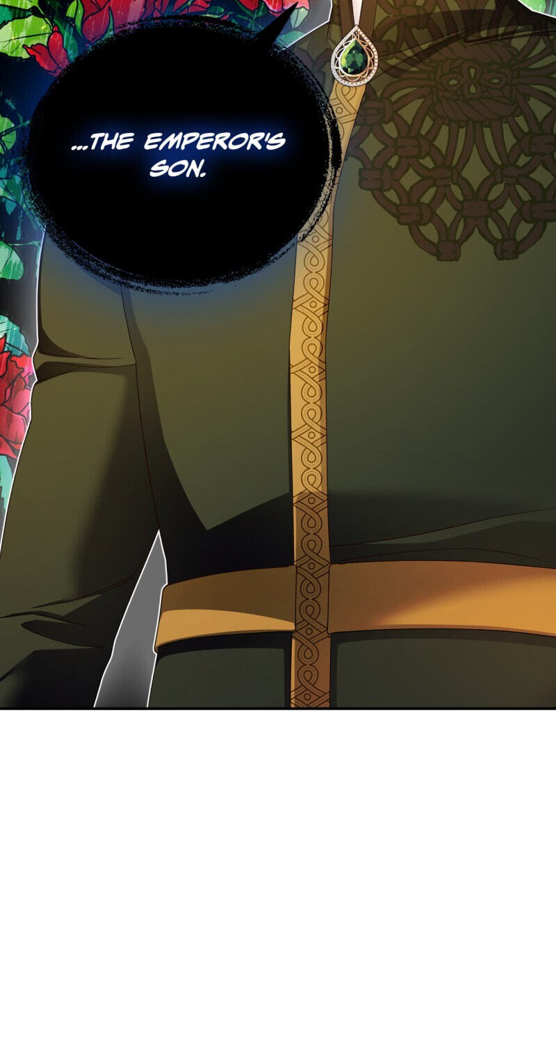How to Hide the Emperor's Child Chapter 58 page 3 - 