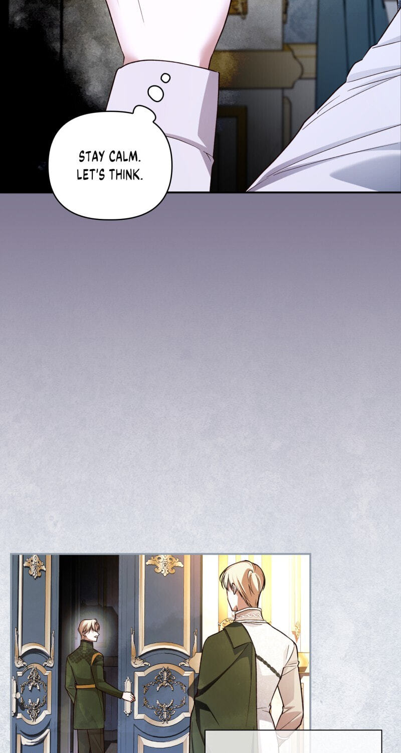 How to Hide the Emperor's Child Chapter 60 page 5 - 