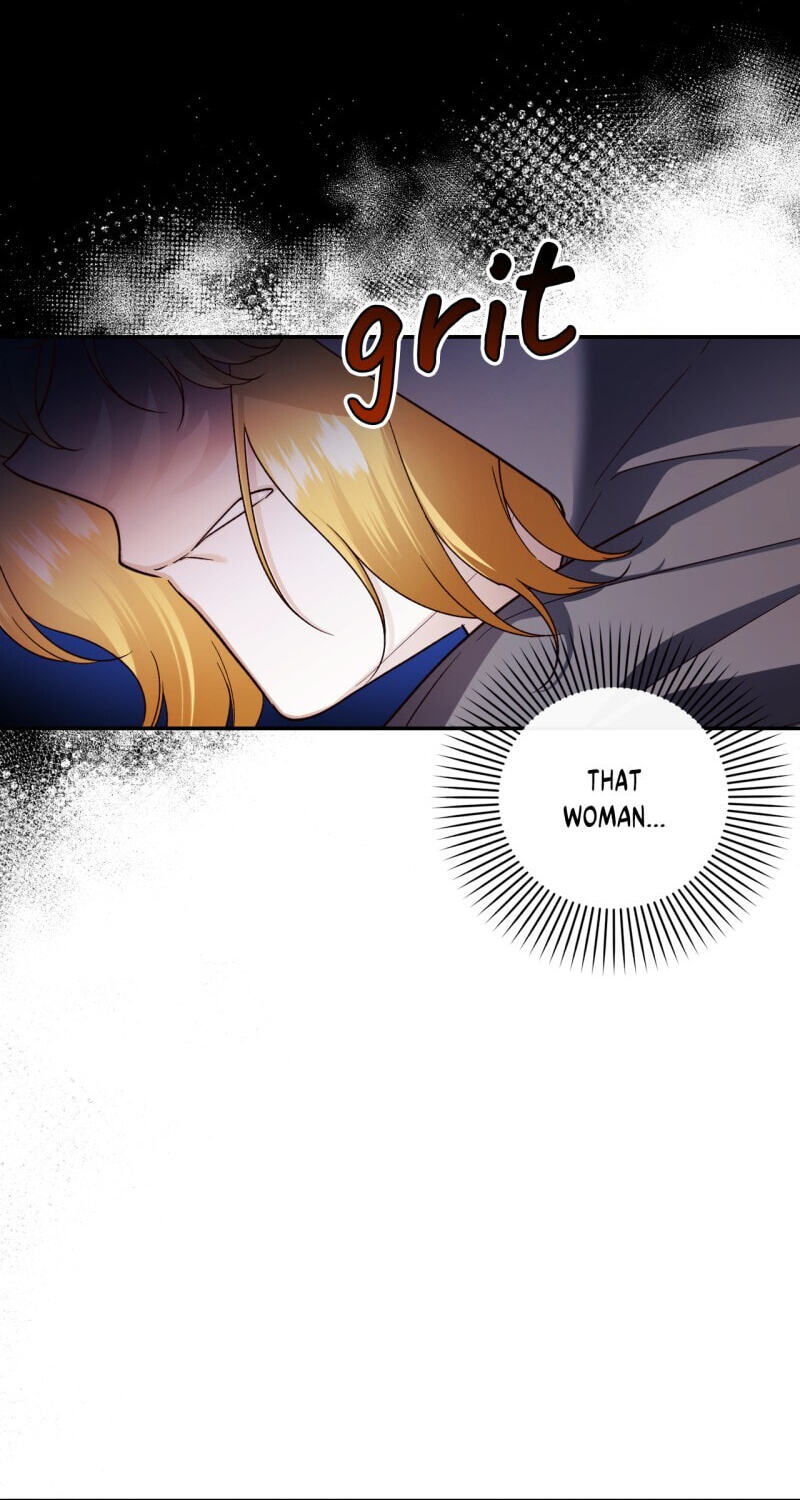 How to Hide the Emperor's Child Chapter 61 page 14 - 