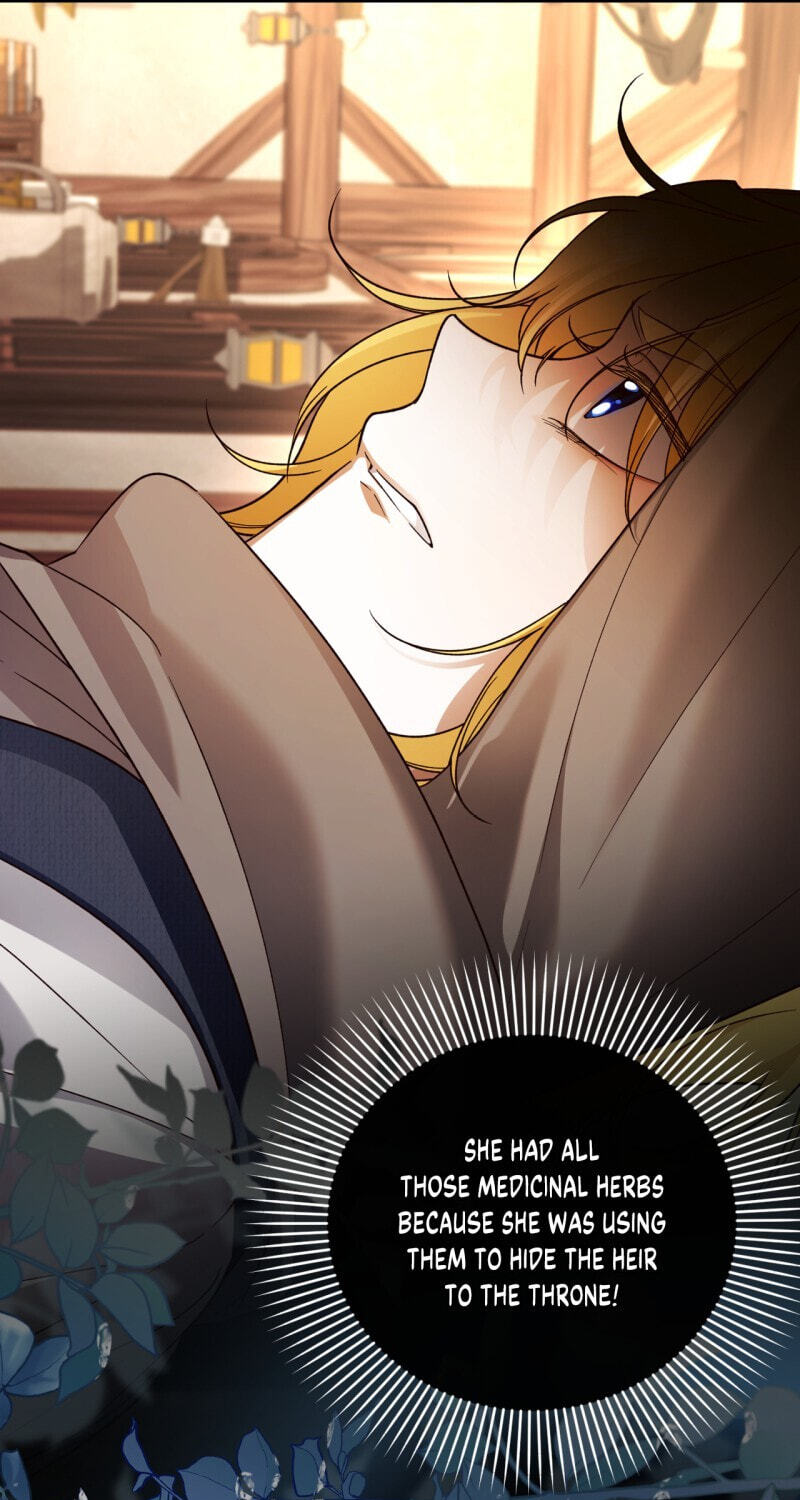 How to Hide the Emperor's Child Chapter 61 page 15 - 