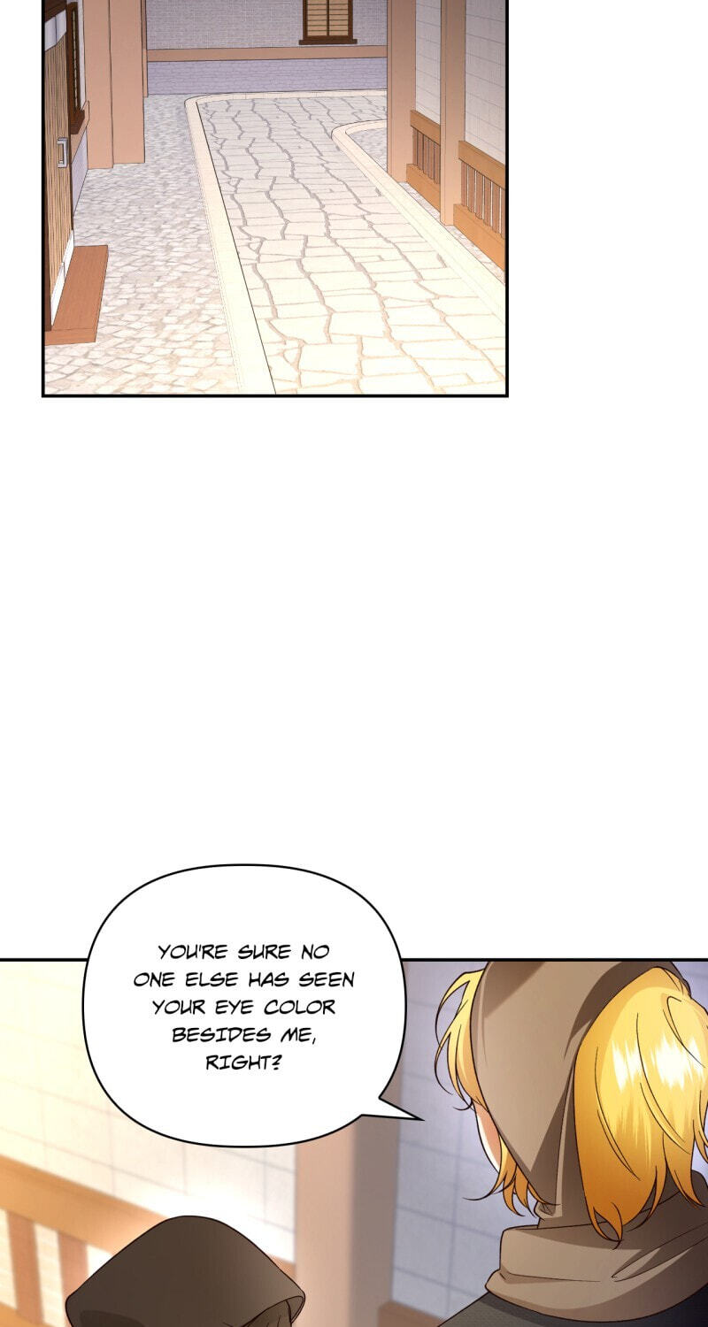 How to Hide the Emperor's Child Chapter 61 page 27 - 