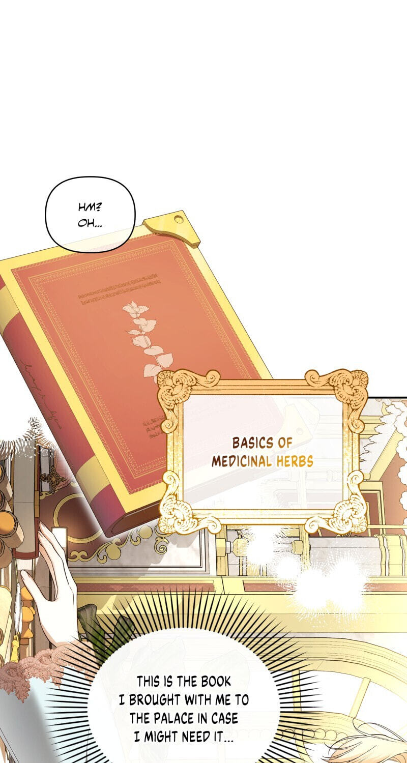 How to Hide the Emperor's Child Chapter 76 page 17 - 