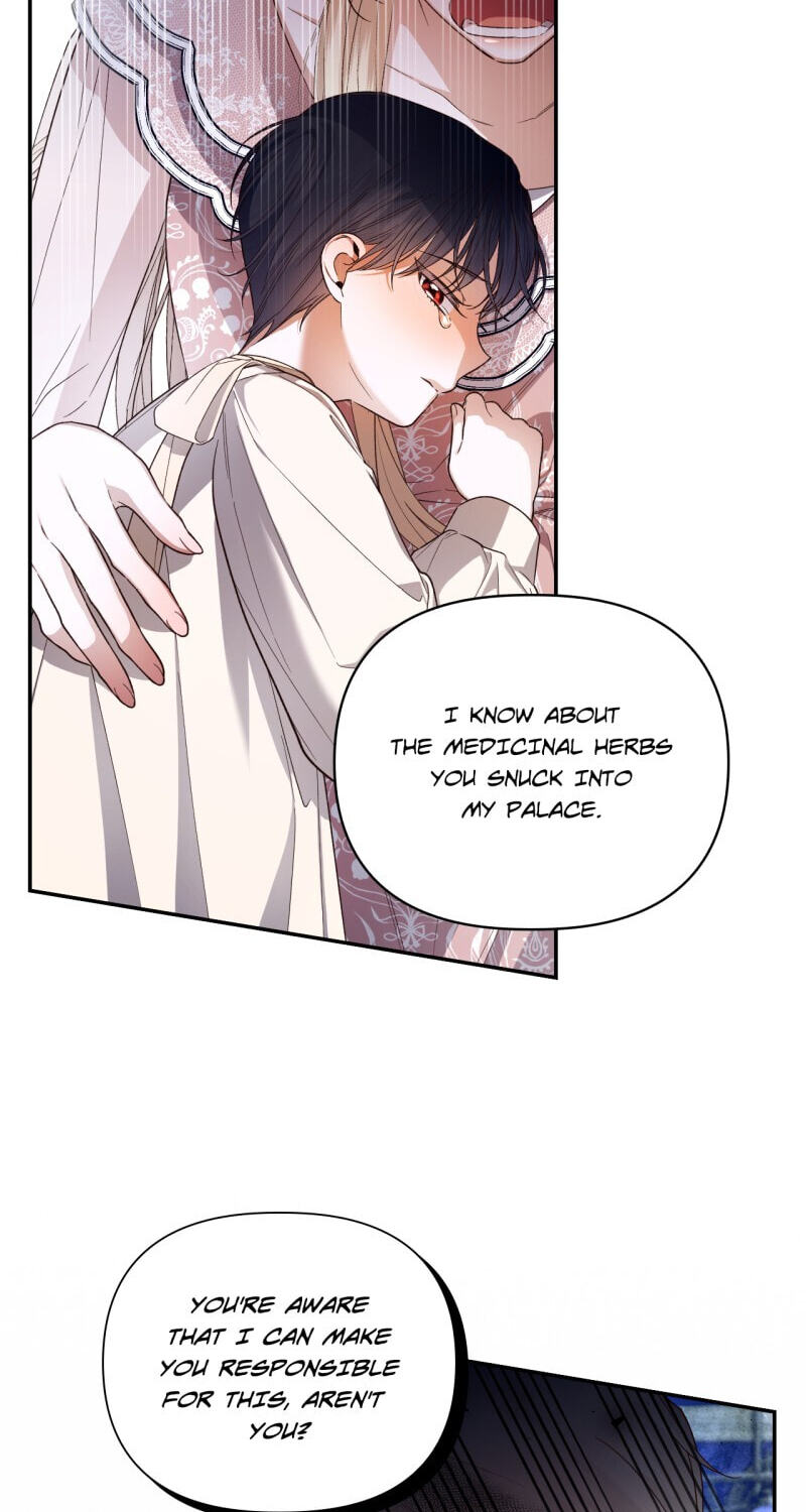 How to Hide the Emperor's Child Chapter 79 page 12 - 