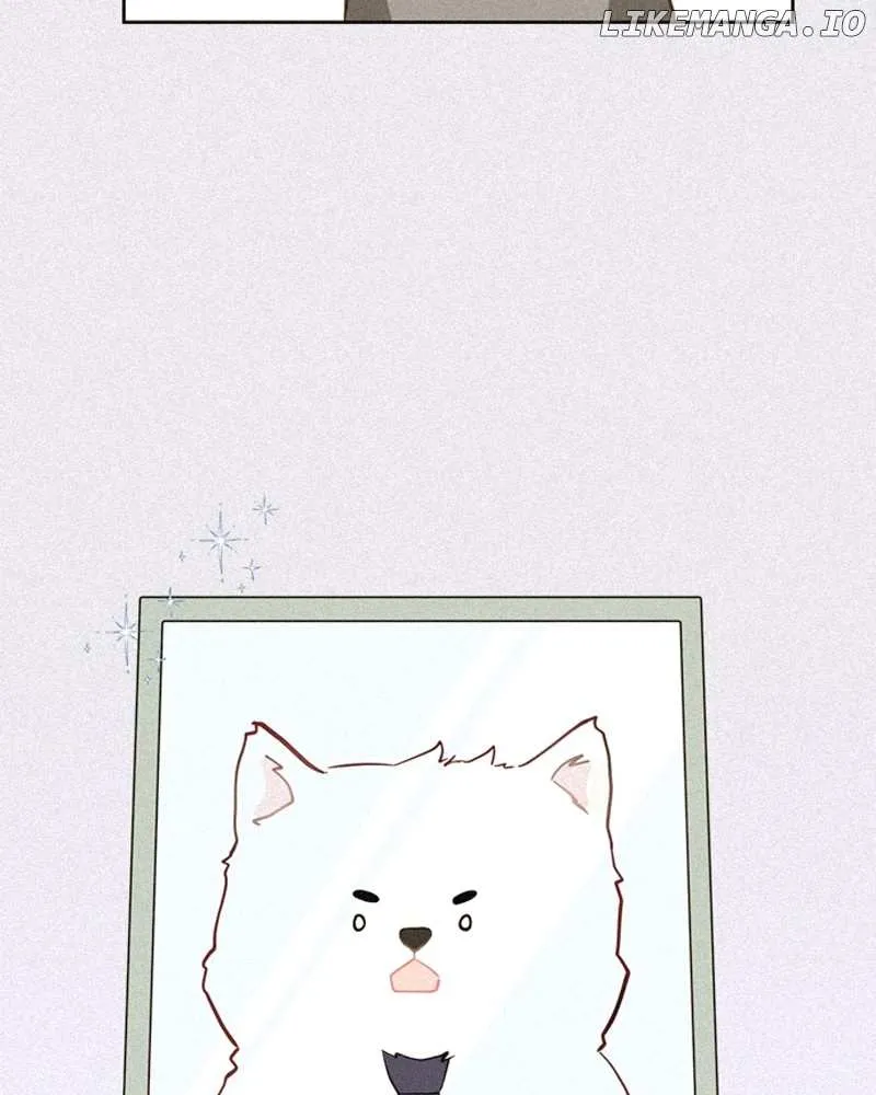 How to Hold X's Leash Chapter 2 page 38 - 
