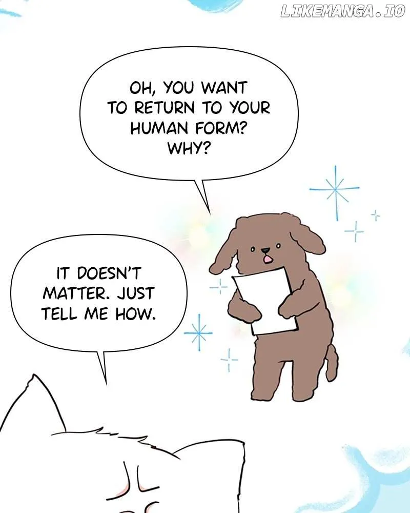 How to Hold X's Leash Chapter 3 page 21 - 